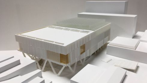 University of Auckland